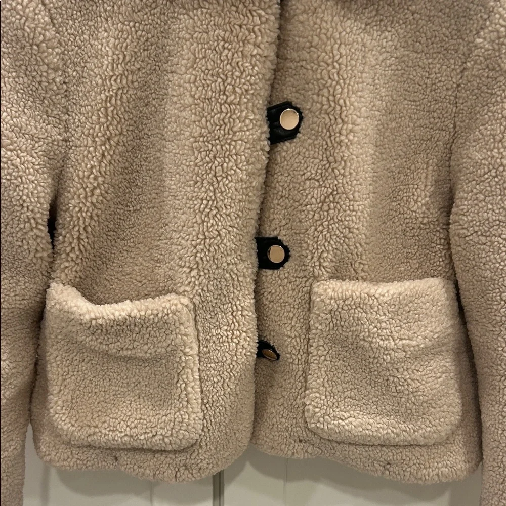 Zara Cream Teddy Jacket for Women - Picture 3 of 6